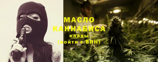 дмт Богородицк