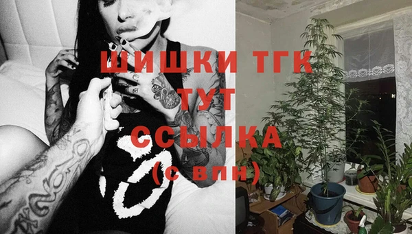 прущий лед Богданович