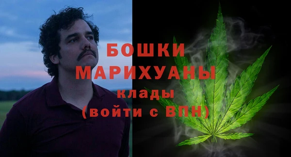 дмт Богородицк