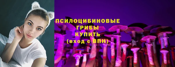 прущий лед Богданович
