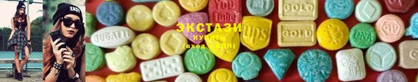 дмт Богородицк