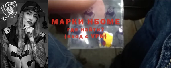 прущий лед Богданович