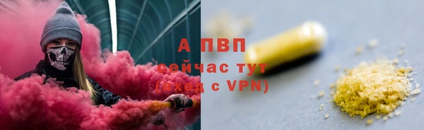 прущий лед Богданович