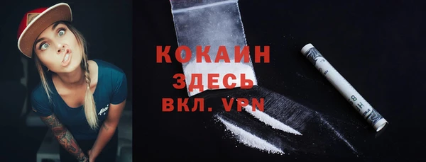 прущий лед Богданович