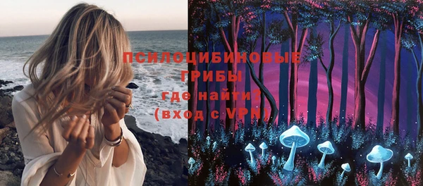 дмт Богородицк
