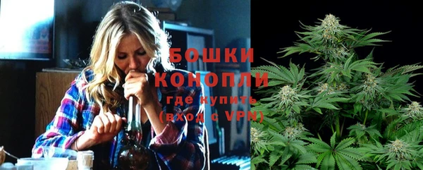 прущий лед Богданович