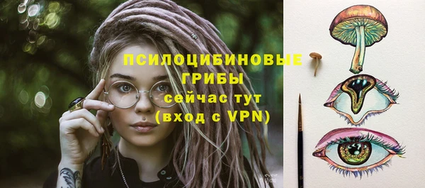 прущий лед Богданович