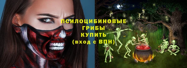 дмт Богородицк
