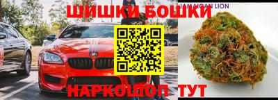 гидра Заводоуковск