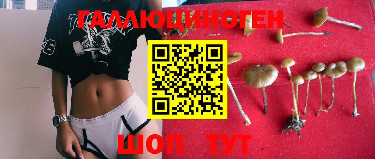 Малоярославец  Галлюциногенные грибы Psilocybine cubensis  Вход с VPN 